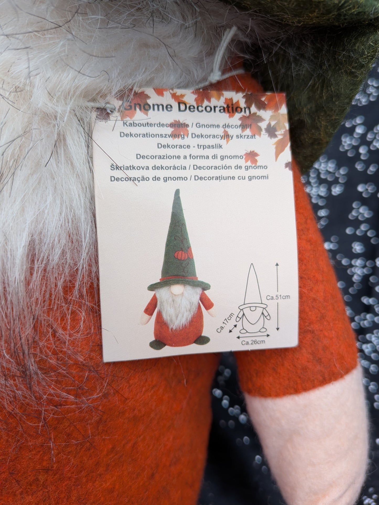 8 Gnomes d’Automne – Fille & Garçon ✨🍂