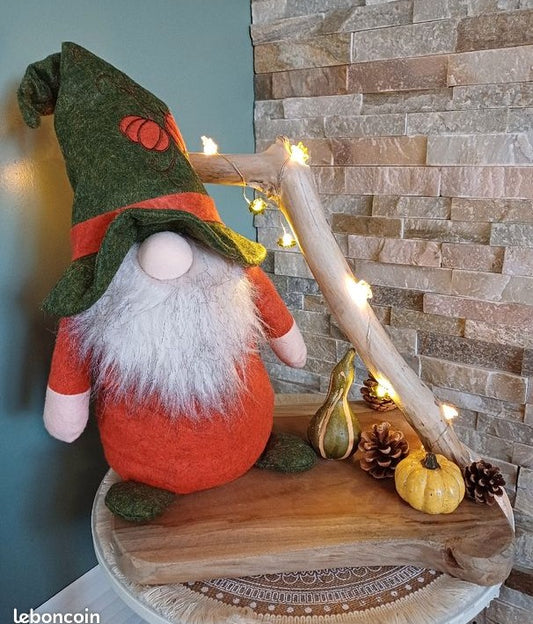 8 Gnomes – Fille ou Garçon ✨🍂