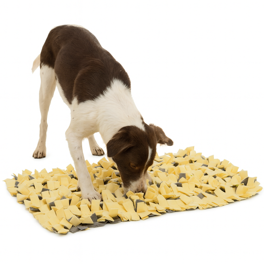 Tapis reniflant pour Chien, 50 x 50 cm Jaune et Gris