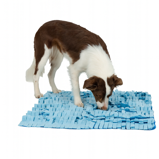 Tapis reniflant pour Chien, 50 x 50 cm Bleu