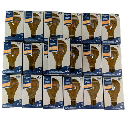 19 Ampoules LED E27 4,9 W 250 lm 1800 K à filament dimmable 15.000 hrs