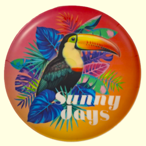 Assiette plate en Mélamine Motif Toucan 25 cm