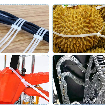 Colliers de serrage Werckmann 100 mm | 100 pièces - Blanc