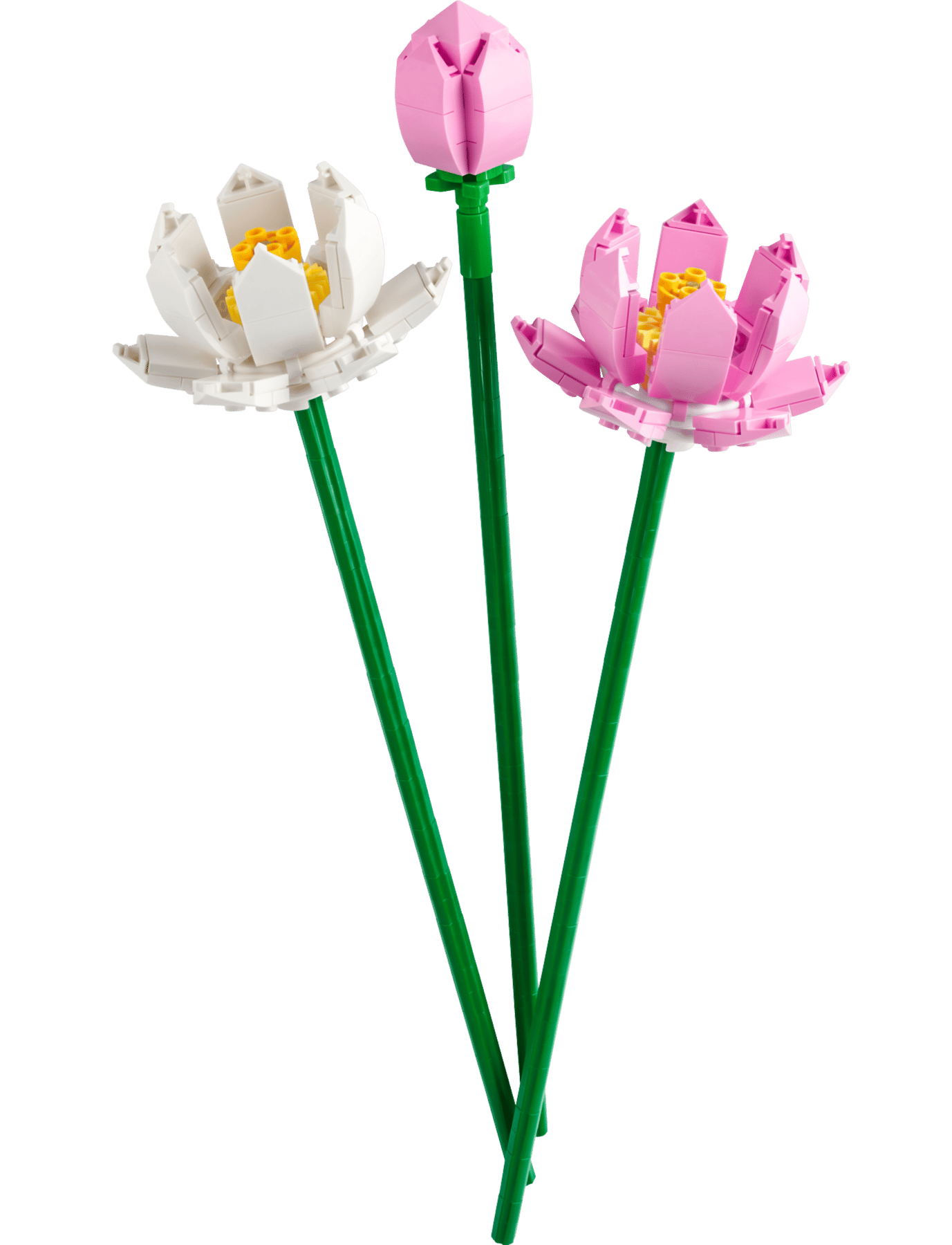 Boite de LEGO Fleurs de Lotus N°40647