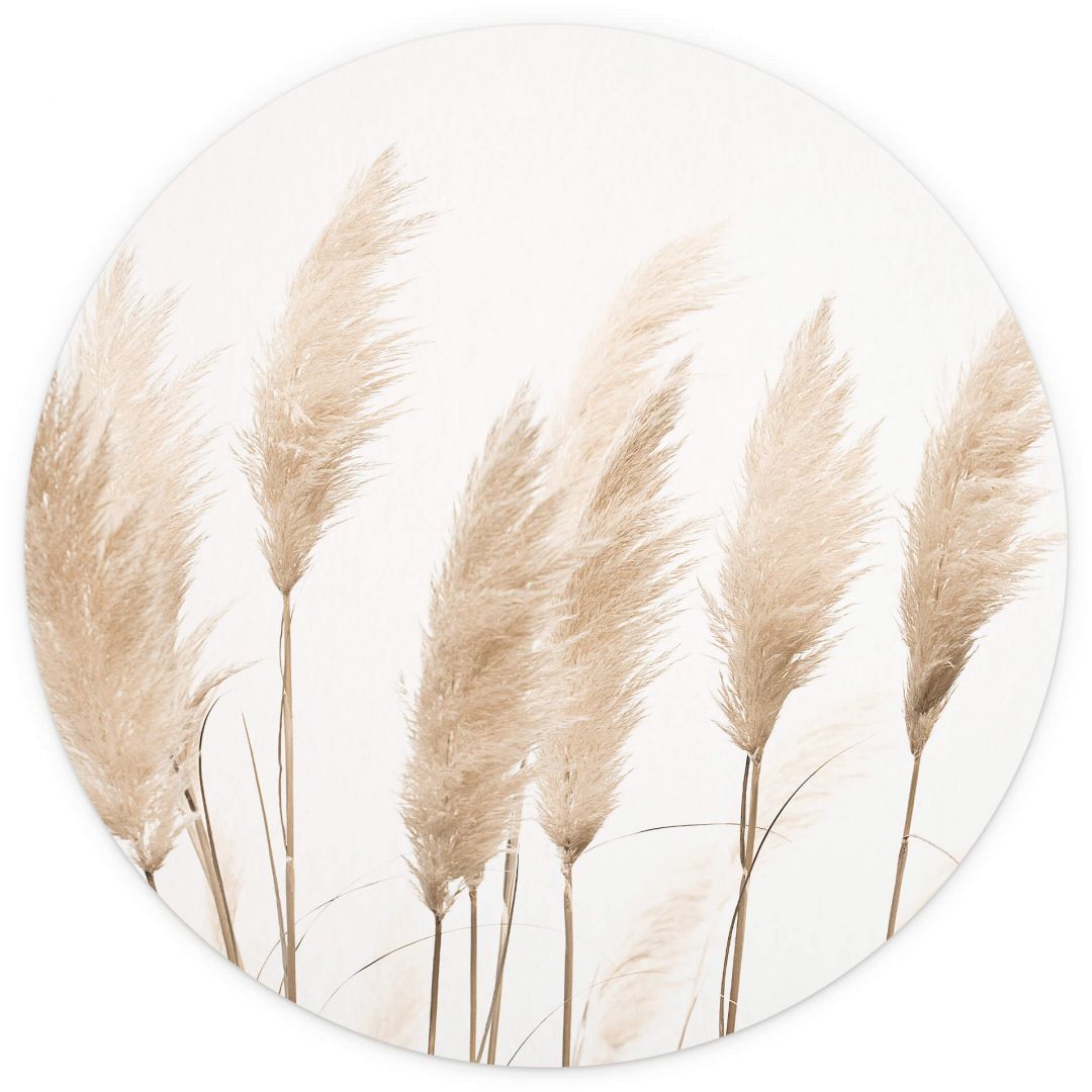 Papier Peint Mural Photo Circulaire – Décoration Murale Design et Moderne