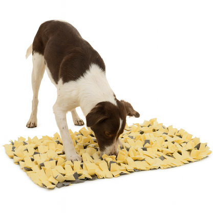 Tapis reniflant pour Chien, 50 x 50 cm Jaune et Gris